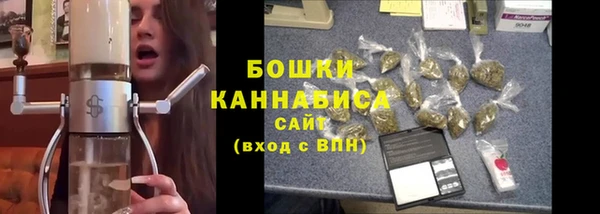 шишки Пестово