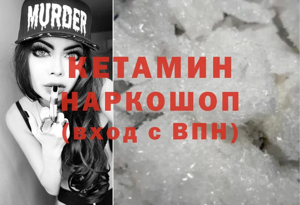 шишки Пестово