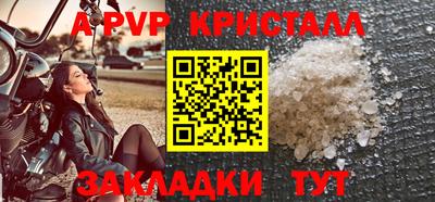 амф Гай