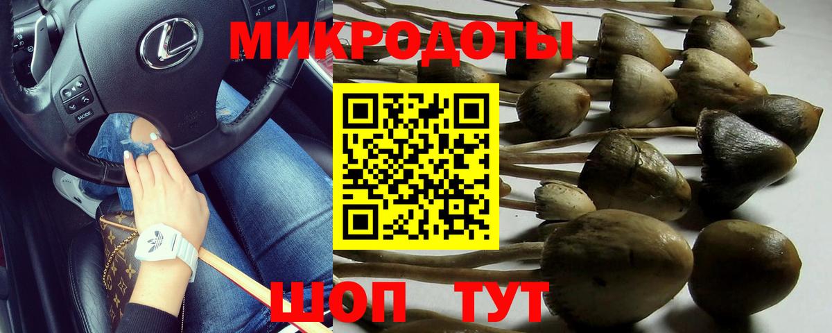 Майкоп  Псилоцибиновые грибы мухоморы  купить  сайты  Вход с VPN  Псилоцибиновые грибы мицелий 