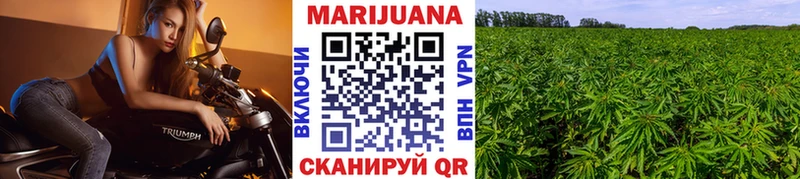 mega как войти  Майкоп  Марихуана MAZAR  закладки 